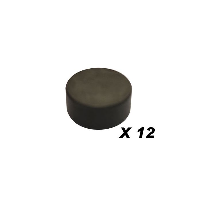 T20129-Valve Stem Cap
