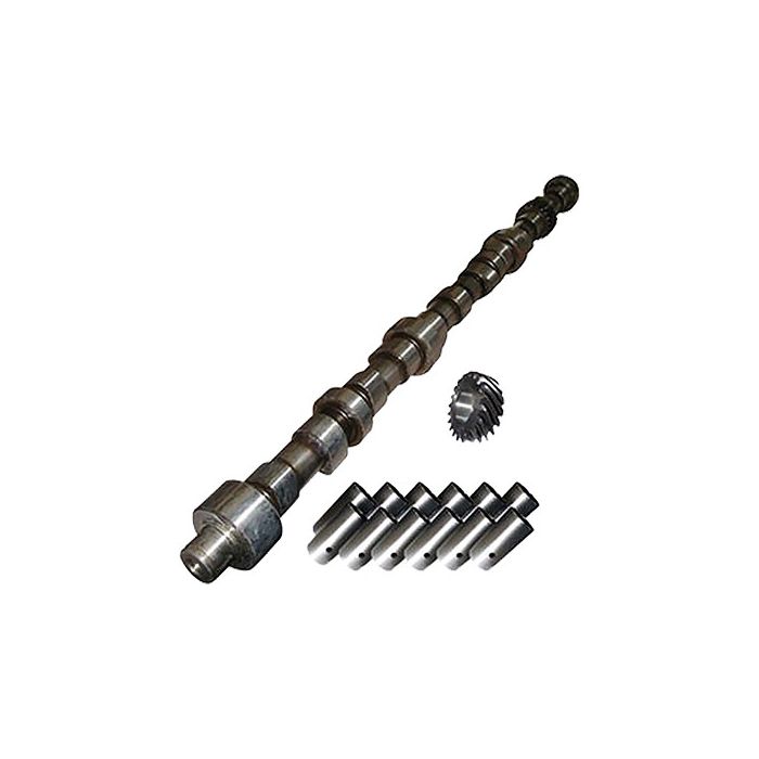 AR31683, AR32732, R26342, R26750, R32425, R32428, R33778, RP455-Camshaft & Lifter Kit