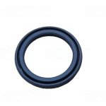 Seal F03011075 Gaspardo oil seal Gaspardo