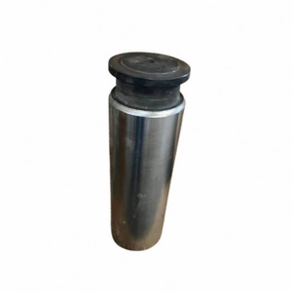 FWS 4.5" PLUNGER